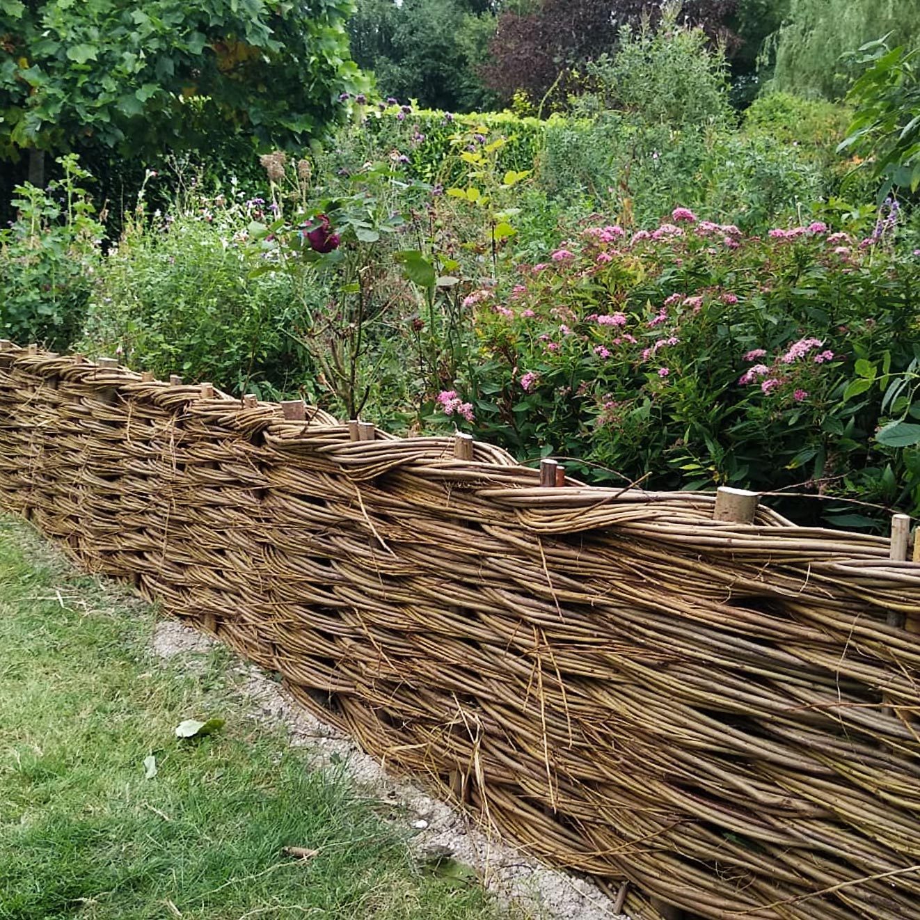 intricate woven fence surrounding an overgrown natural wild garden