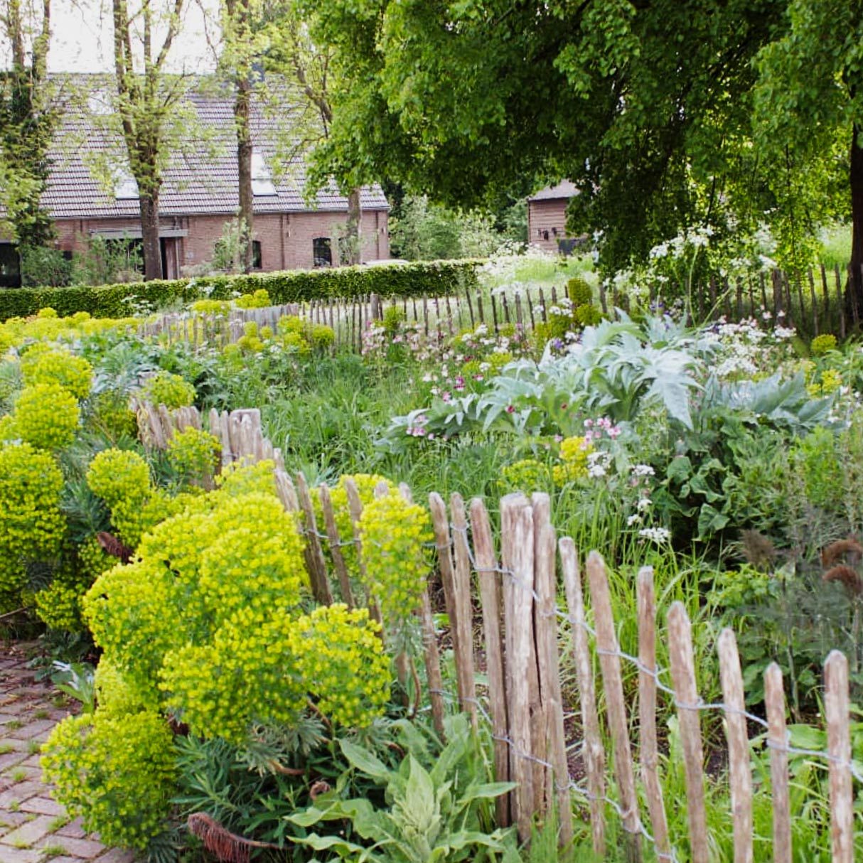 overgrown wildflower garden surround by a rustic wooden and metal wire fence