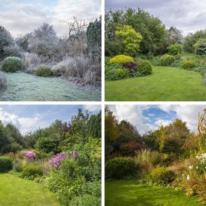 Seasonal Lawn Care Schedule Grid Collage Gettyimages