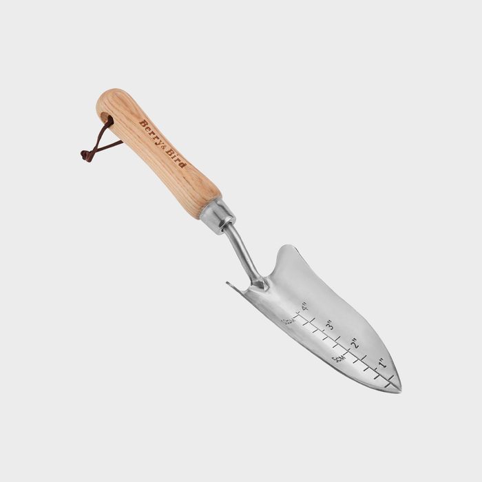 Berry And Bird Stainless Steel Trowel Ecomm Amazon.com