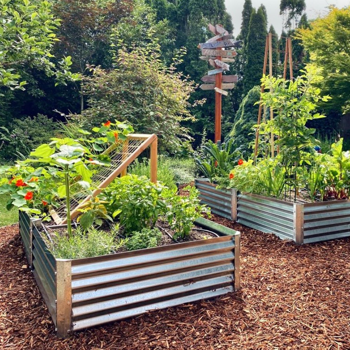 Galvanized Steel Raised Garden Bed Courtesy Metalgardenbeds Instagram