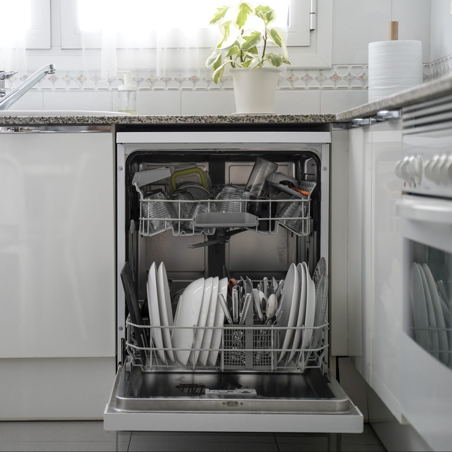Dishwasher in the kitchen