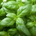 12 Herbs to Plant in Spring