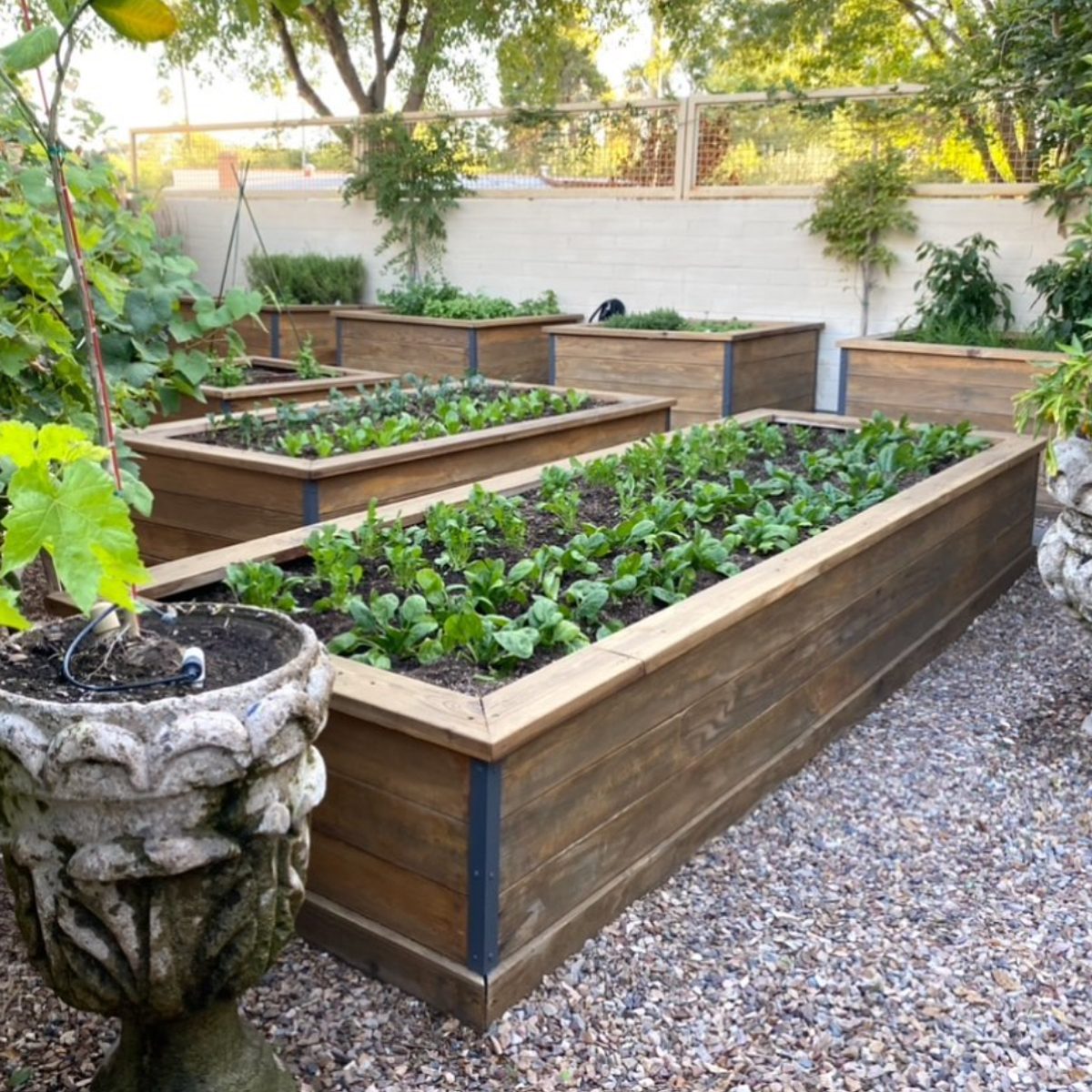 Wood Raised Garden Bed Courtesy Tohavetohost Instagram