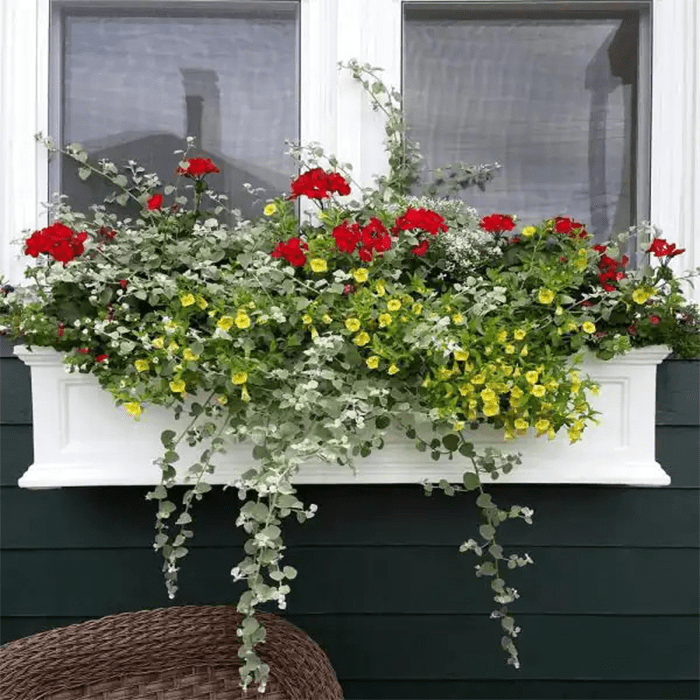 White Mayne Window Boxes 5823w 44 600