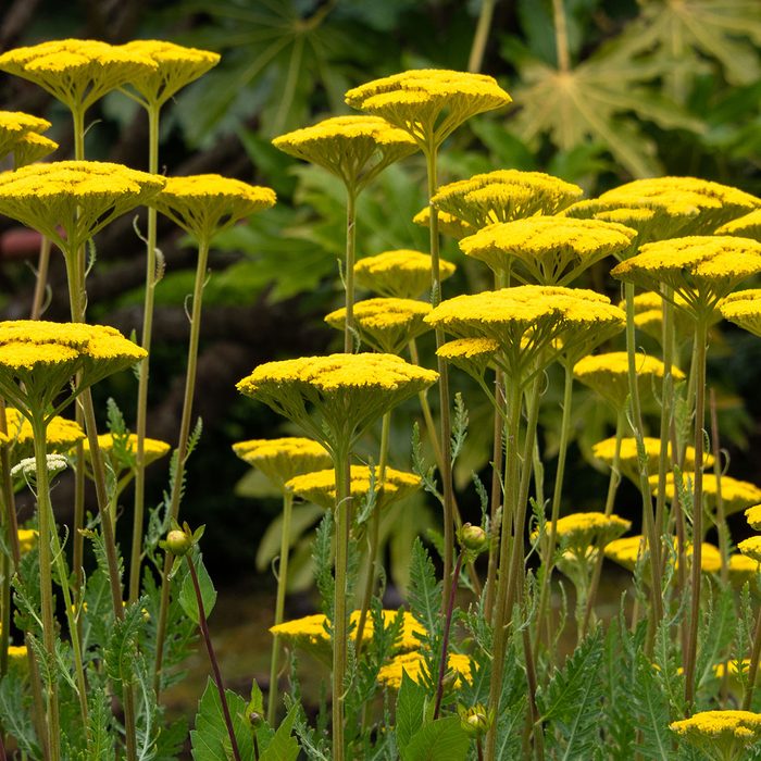 Gettyimages 1202797134