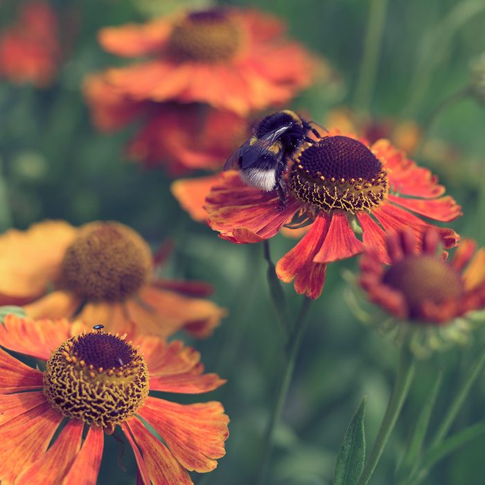 Gettyimages 1398071176