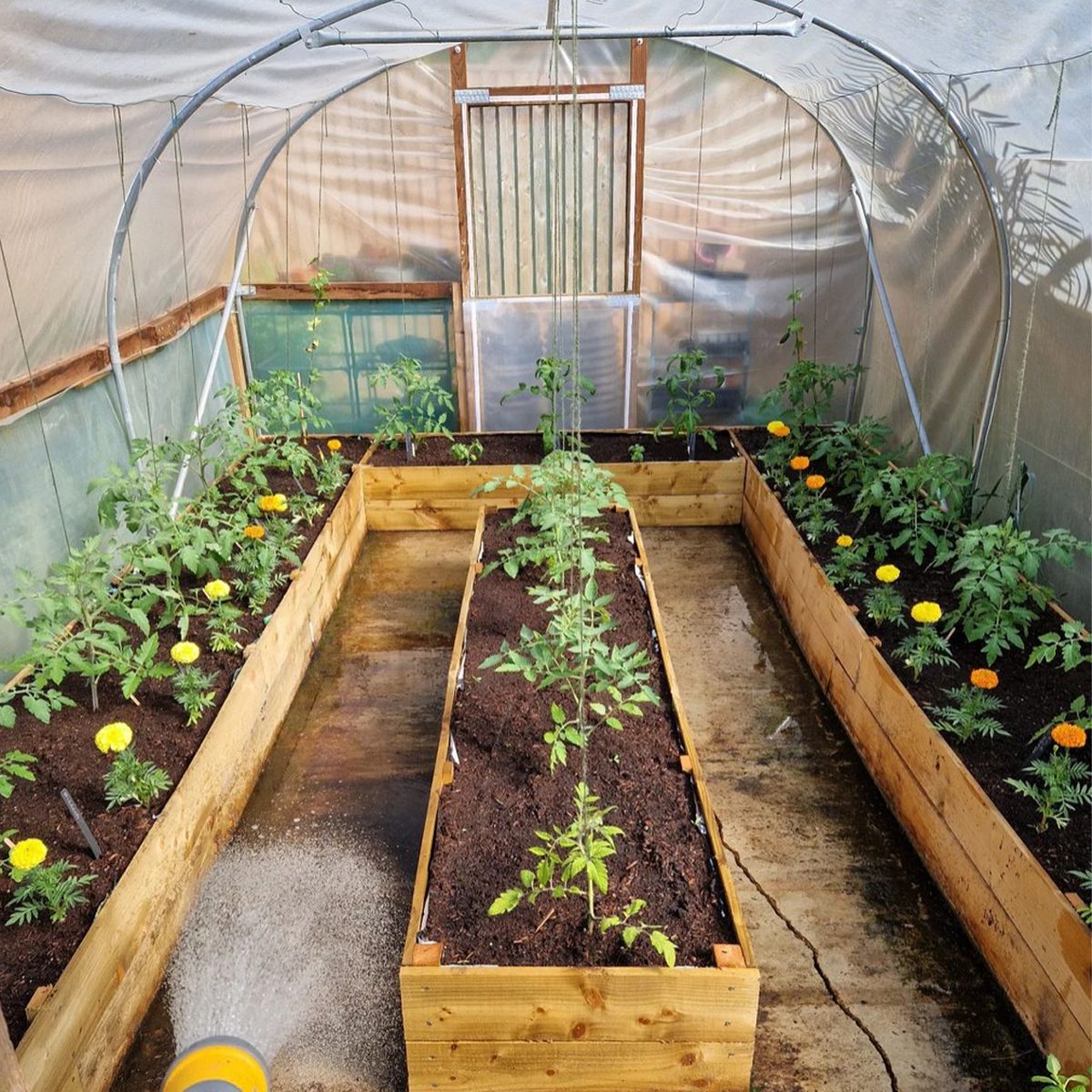 Polytunnel Garden Courtesy @cotswoldpotager Via Instagram