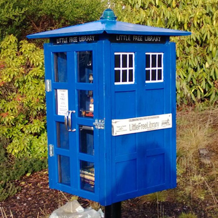 Tardis Little Free Library Via Jenniferbrozek.com