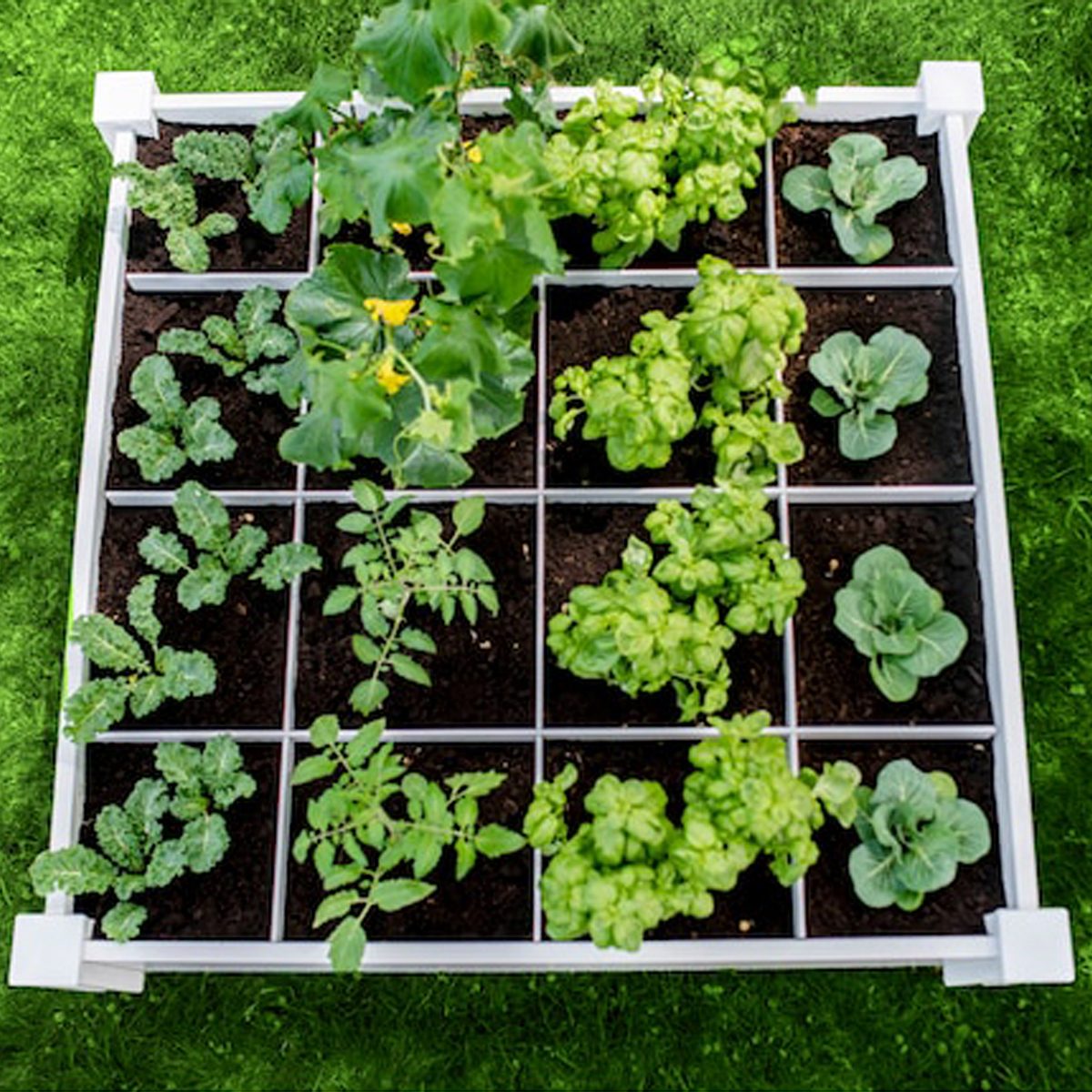 White Raised Garden Bed