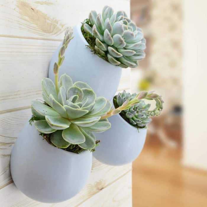 Arcadia Garden Products Sky Ceramic Wall Planter Ecomm Homedepot.com