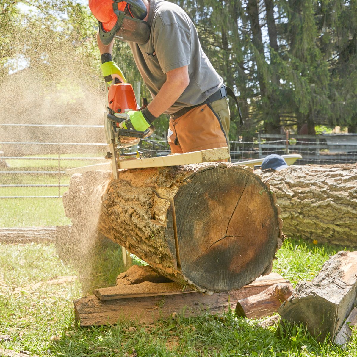 Fh22sep 620 53 008 How To Mill And Dry Lumber Yourself