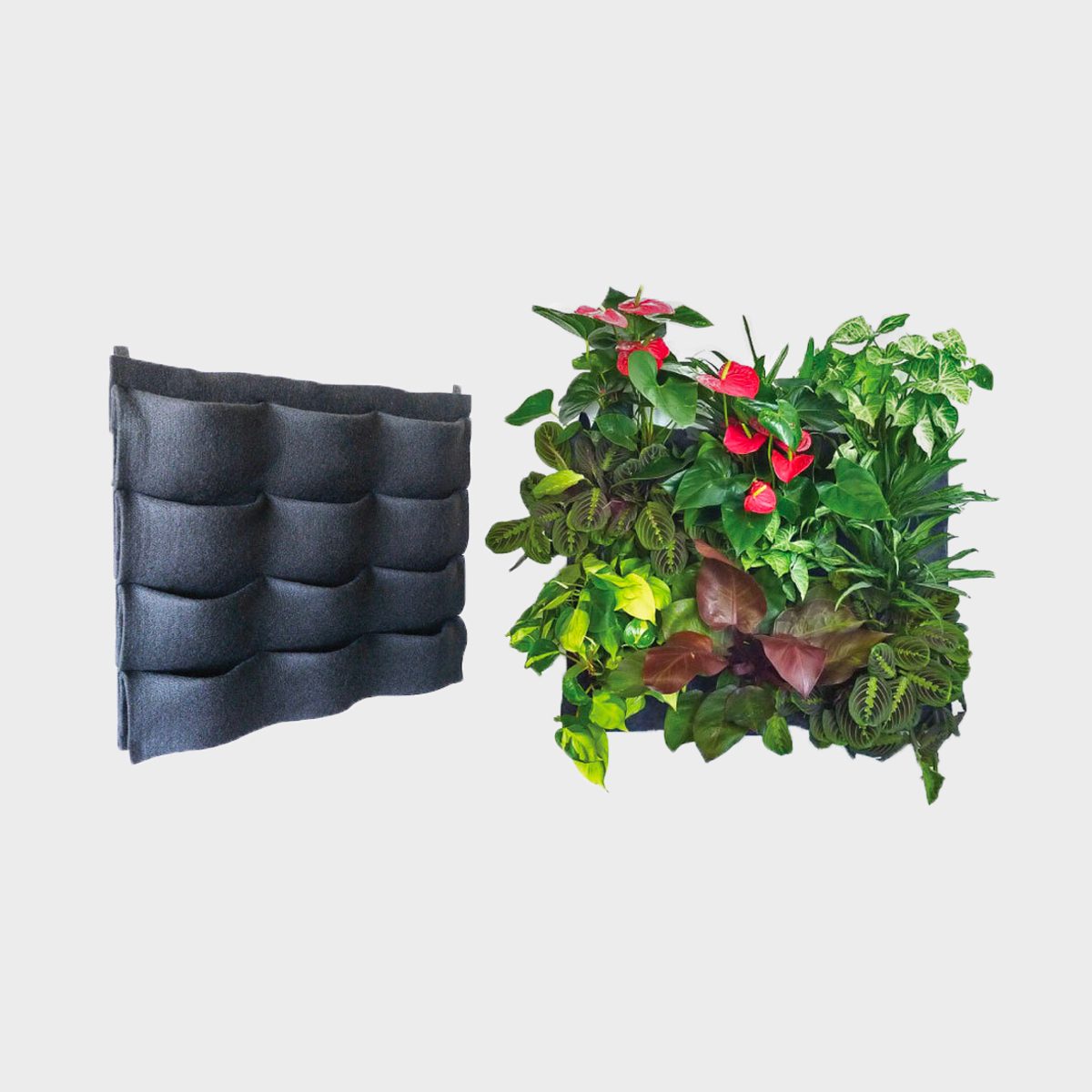 Florafelt 12 Pocket Panel Living Wall System Ecomm Florafelt.com