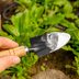 Should You Use Baking Soda in Your Garden?