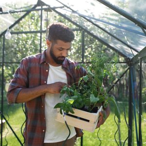 man working outdoors in backyard greenhouse