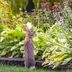 10 Rabbit Repellant Plants