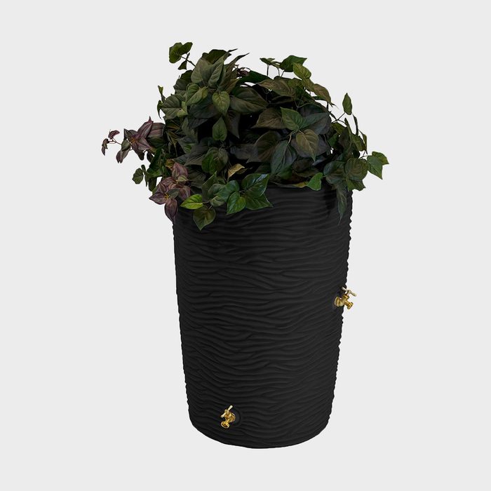 Good Ideas Imp L50 Blk Impressions Palm Rain Barrel Ecomm Amazon.com