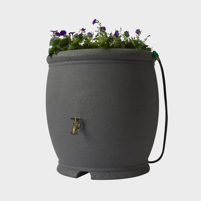 Plastic Dual Overflow Rain Barrel Ecomm Wayfair.com