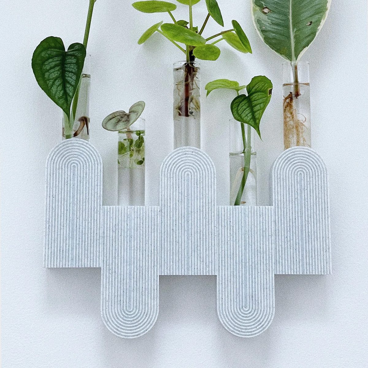 Turvy (set Of 2+) Wall Propagation Station Ecomm Etsy.com