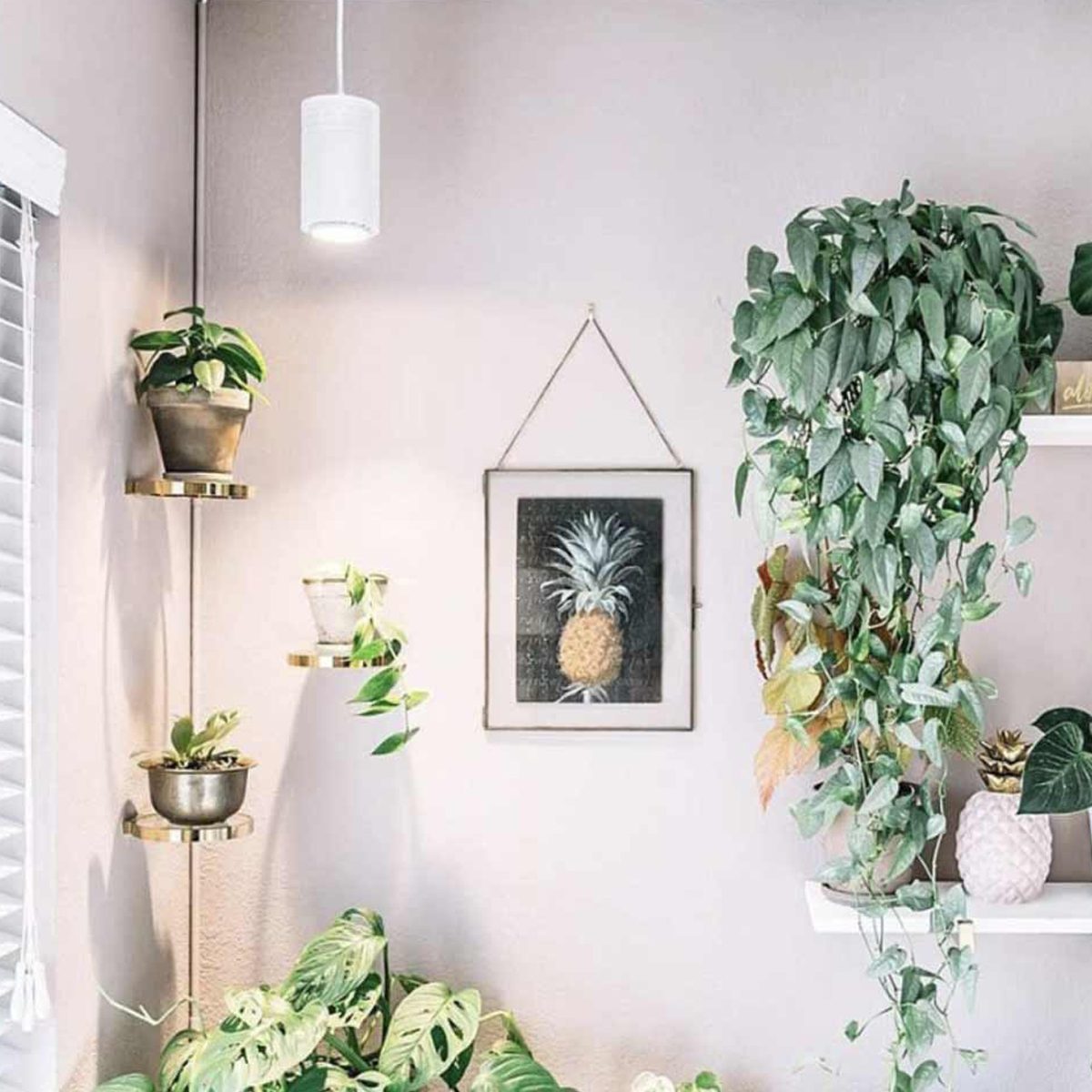 Aspect Led Growlight Ecomm Soltechsolutions.com