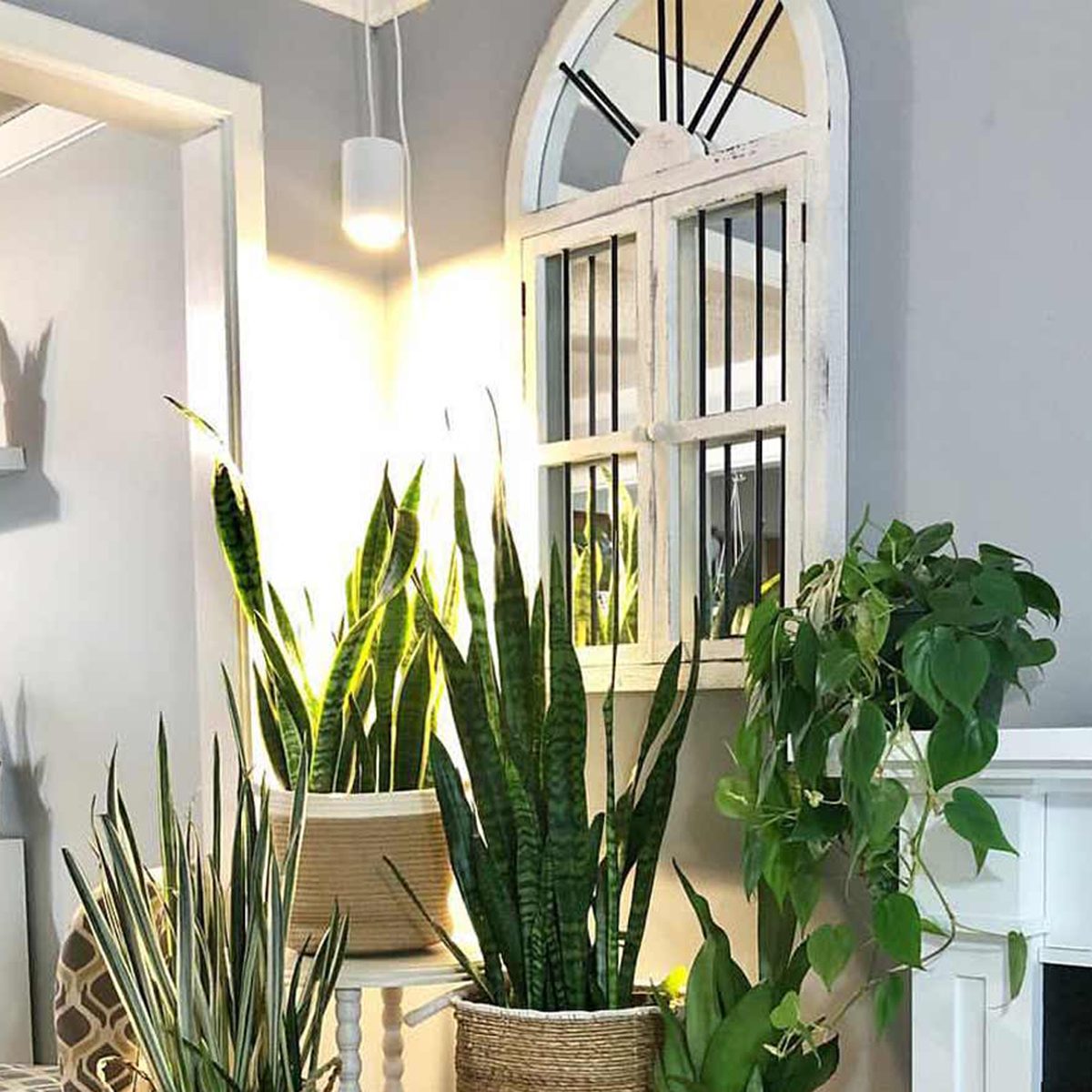 Aspect Led Growlight Ecomm Soltechsolutions.com