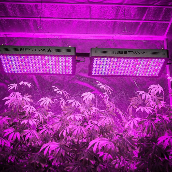 Bestva 2000w Led Grow Light Ecomm Amazon.com