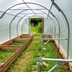 4 Best Greenhouse Plastics