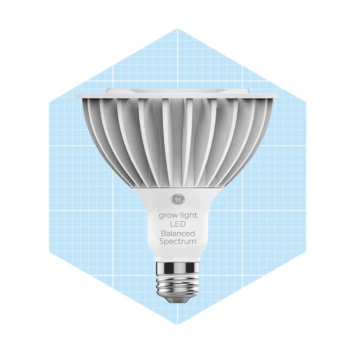 Ge Grow Light, Led Flood Light Bulb For Seeds And Greens Ecomm Amazon.com