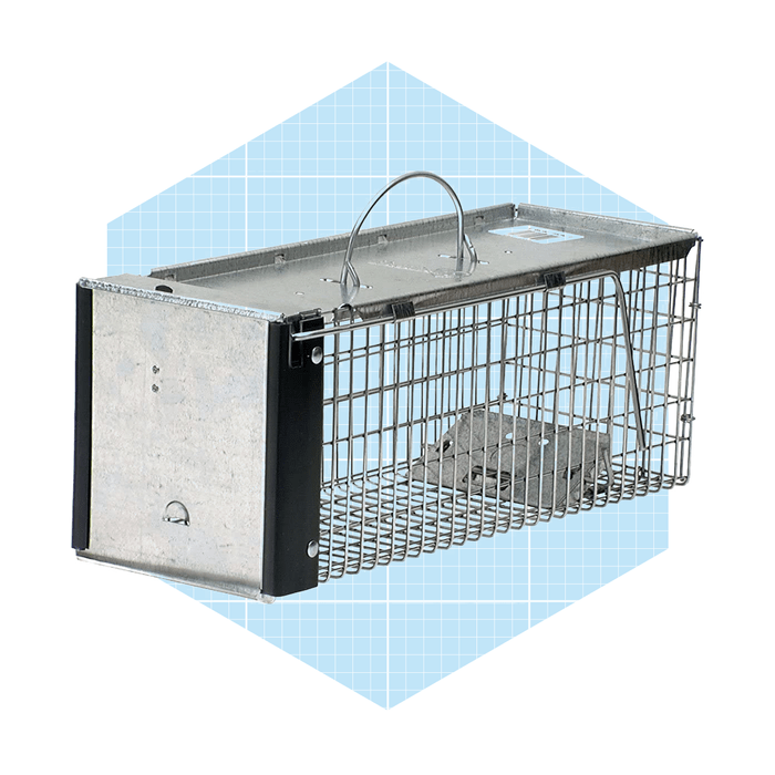 Havahart One Door Animal Trap Ecomm Via Amazon.com