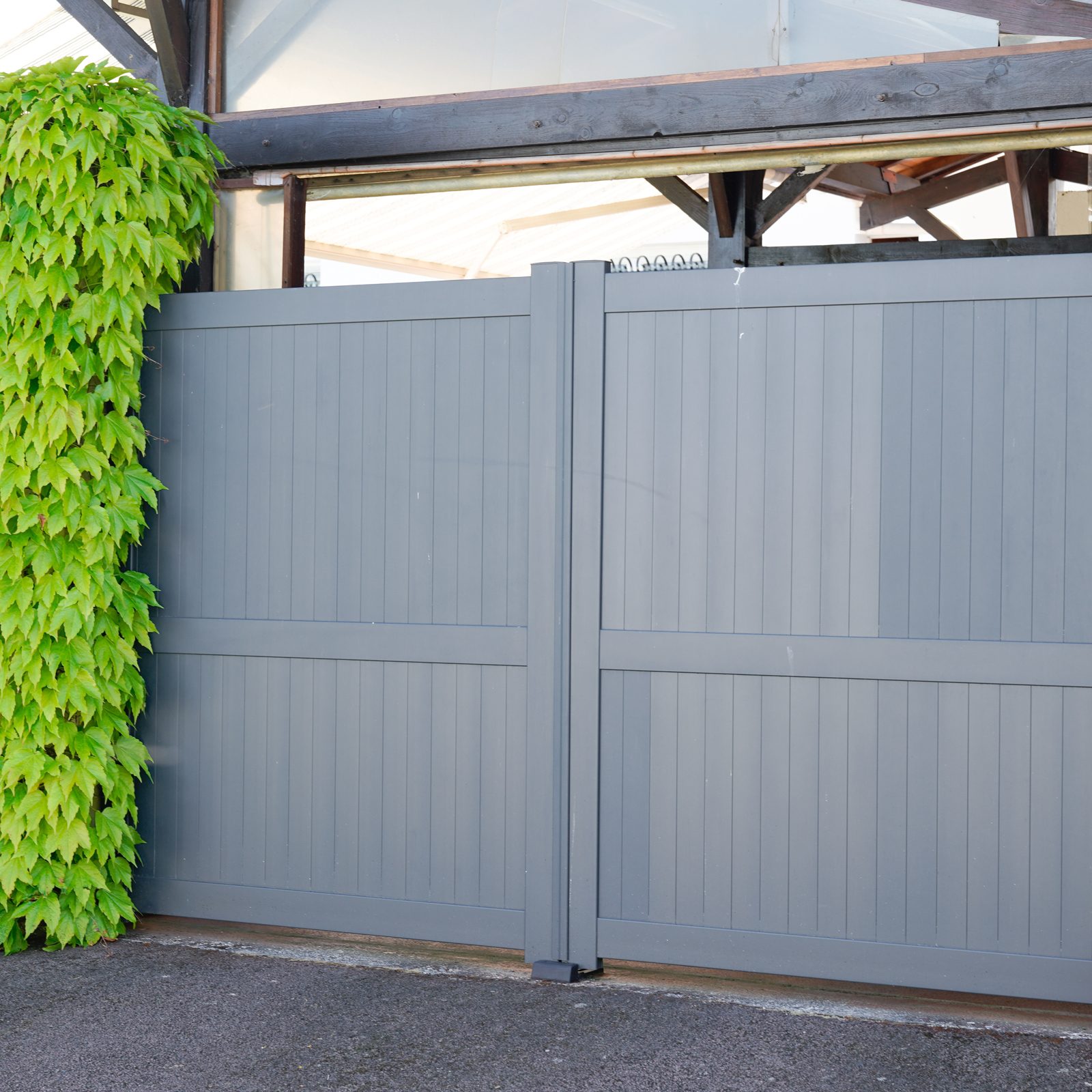 Gray Fence with green vines next to it