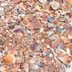 The Benefits of Using Crushed Seashells in Your Soil