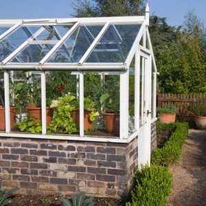 Greenhouse Gardening Guide