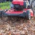 Here's Why Mowing Leaves Is Better Than Raking Them