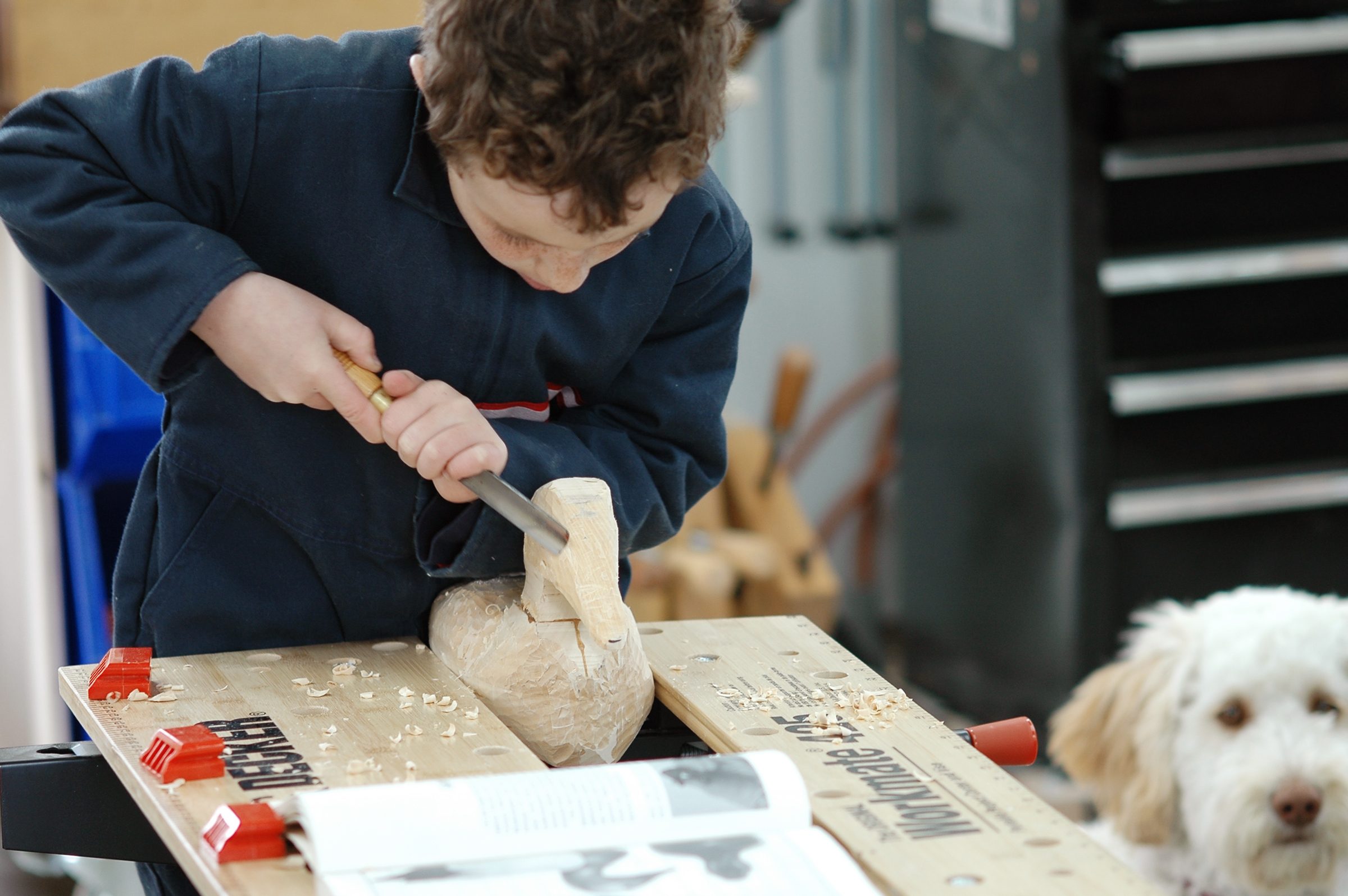 duck decoy woodworking