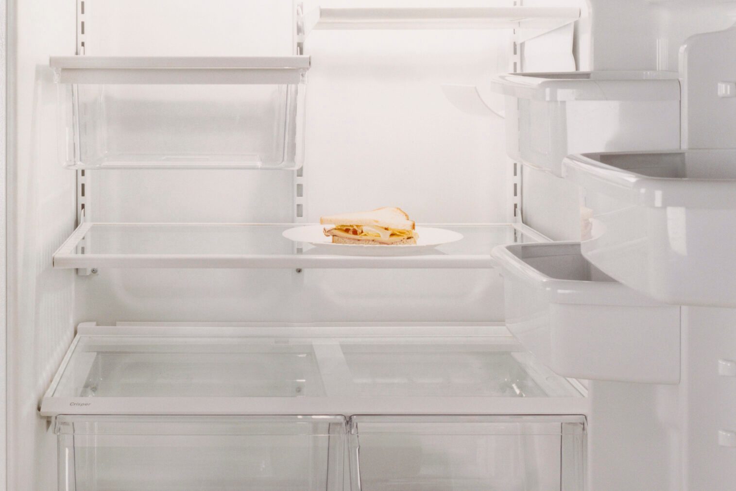Sandwich in Empty Refrigerator