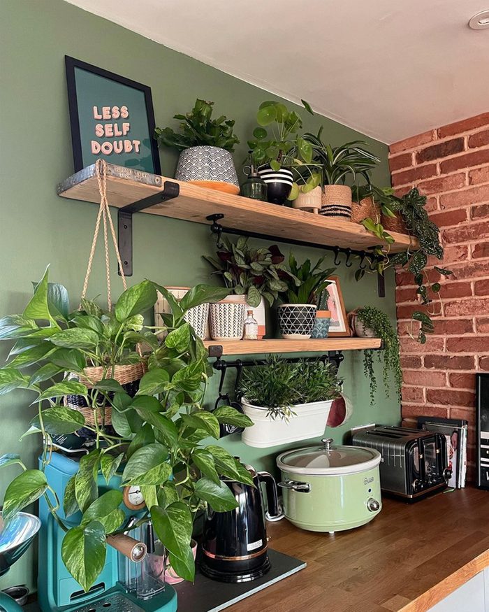 Plant Shelves Courtesy @stayinginstudio Via Instagram