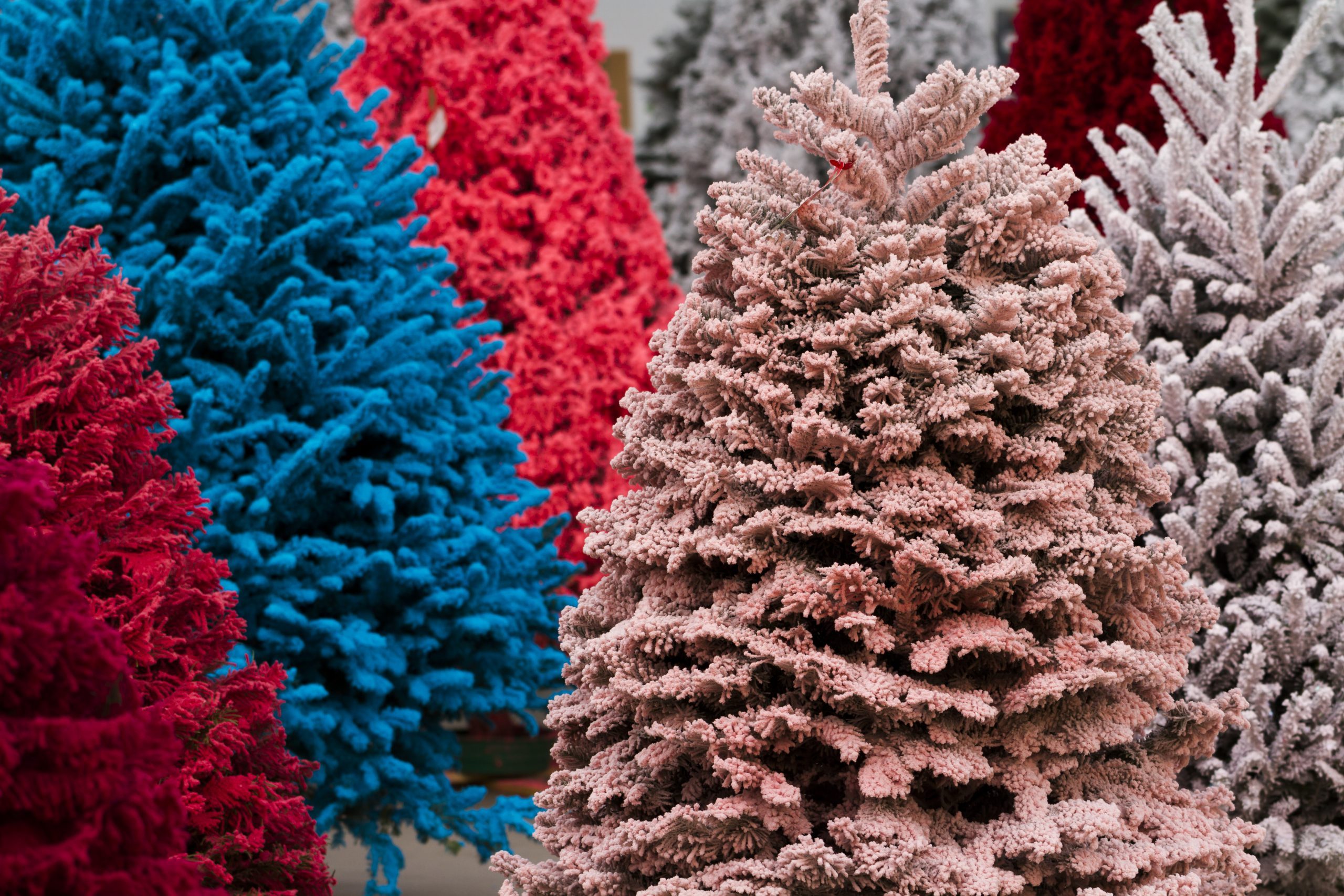 The Latest Trending Christmas Tree Color May Surprise You