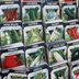 What To Know Before Buying Vegetable and Flower Seeds