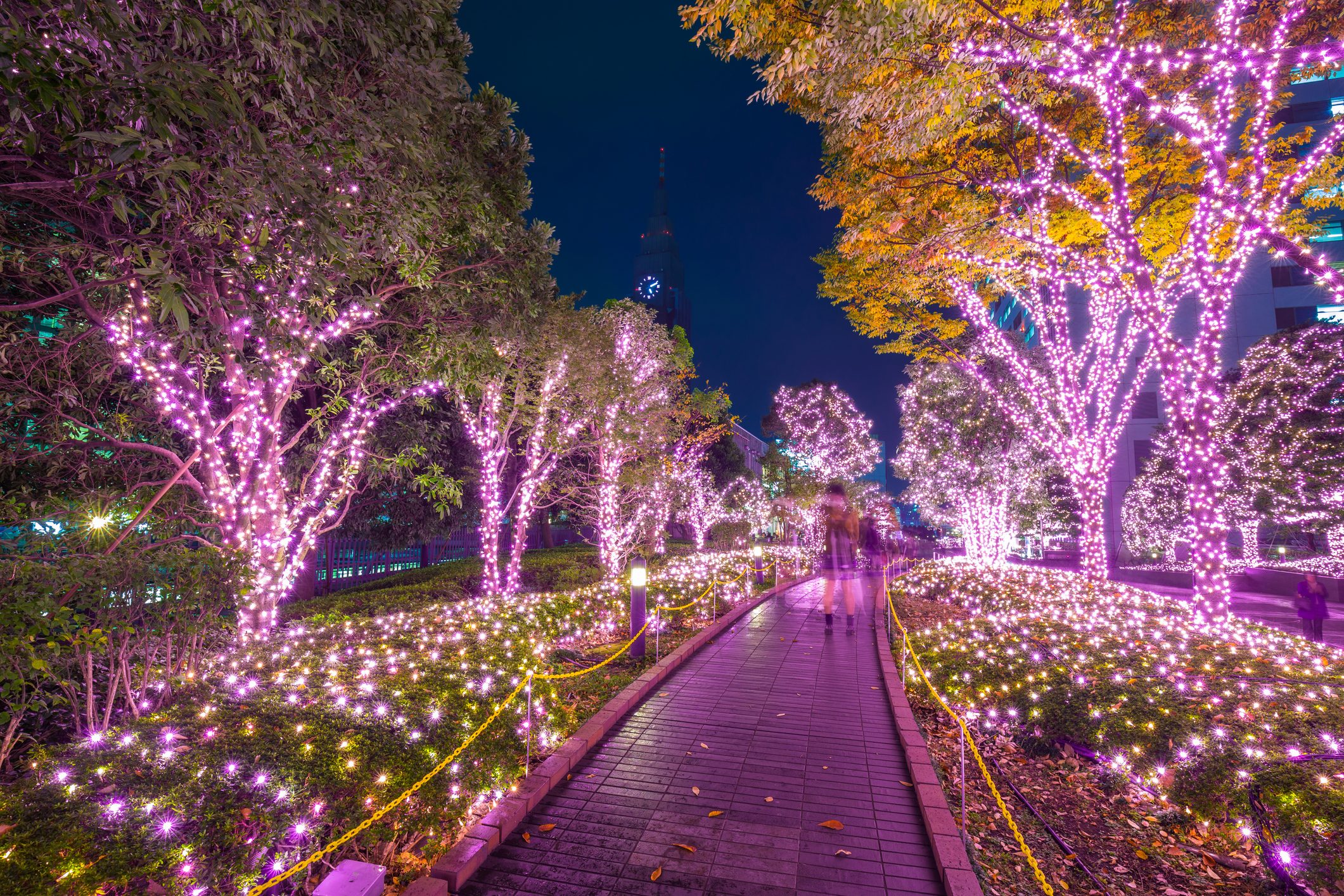 Here’s Why Purple LED Holiday Lights Make Some People Sick