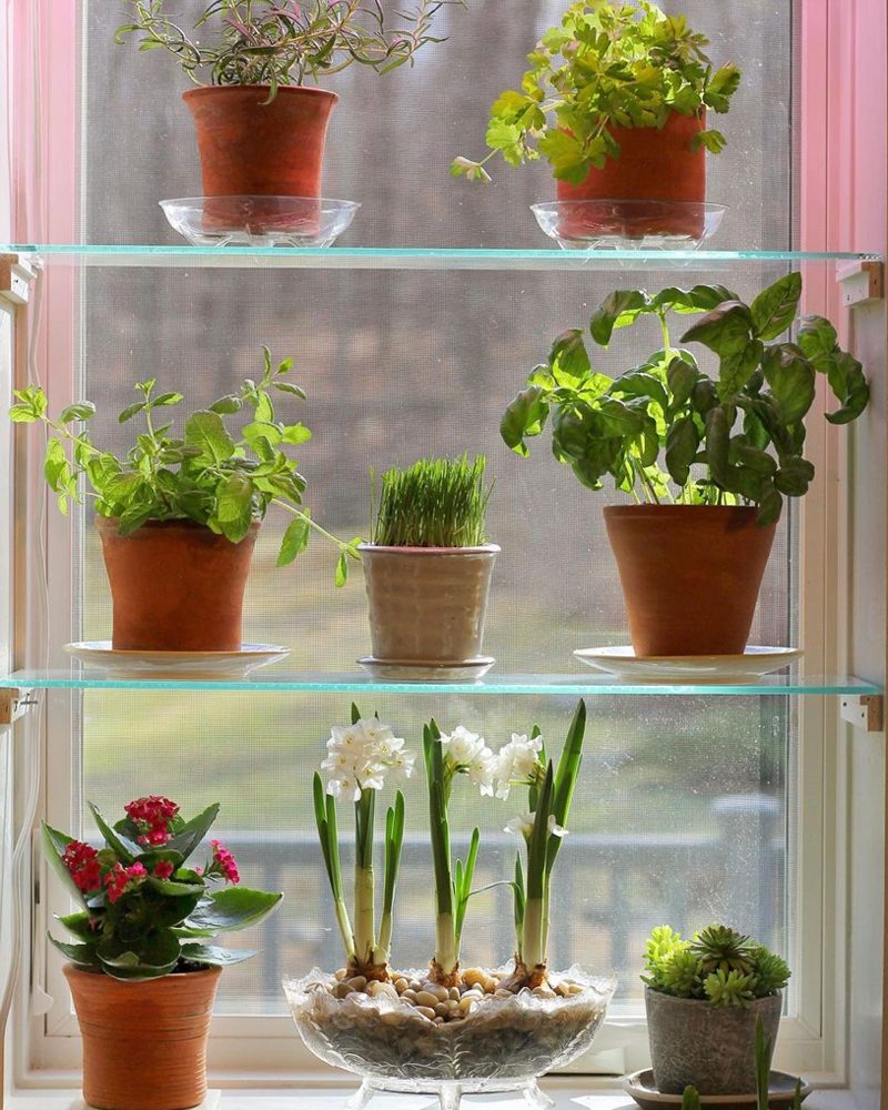 Window Shelves Courtesy @womansworkco Via Instagram