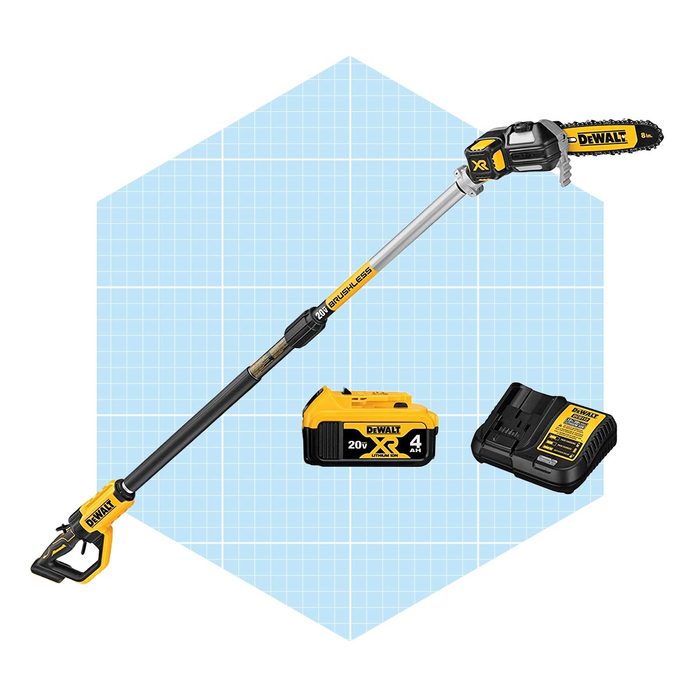 Dewalt Max Xr Pole Saw