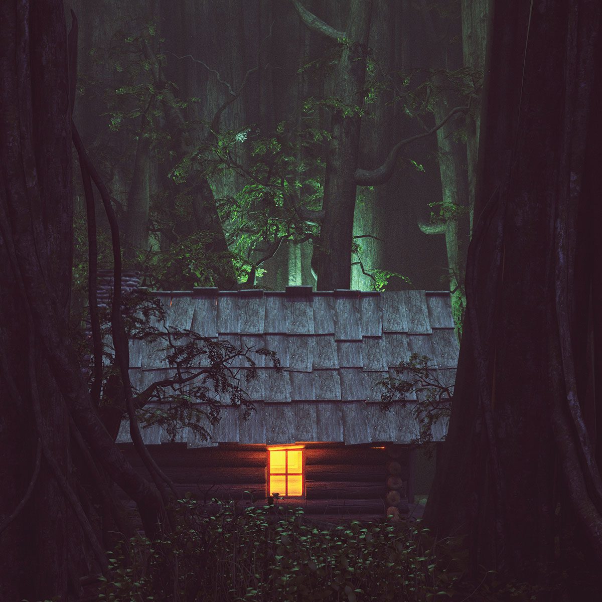 Light From Window Of An Old Cabin In Haunted Forest