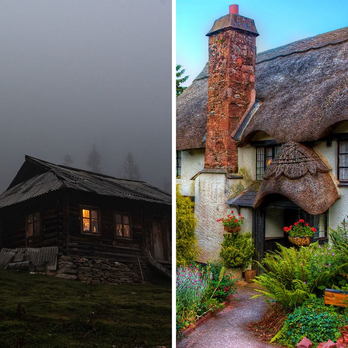 Forest Core Vs Cottage Core