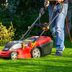 Tips for Switching To Electric Lawn Care