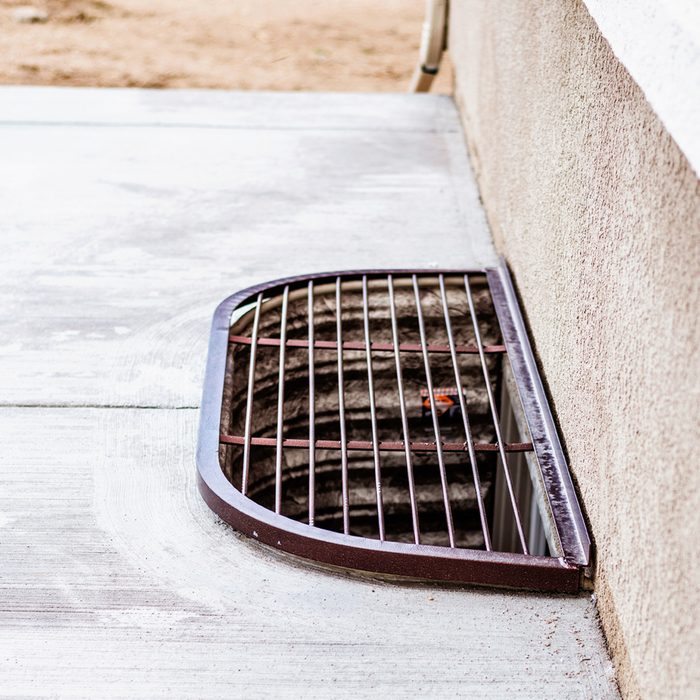 Gettyimages 472605062 Window Well Credit Catlane