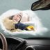 The Super Easy Trick for Defrosting Your Windshields