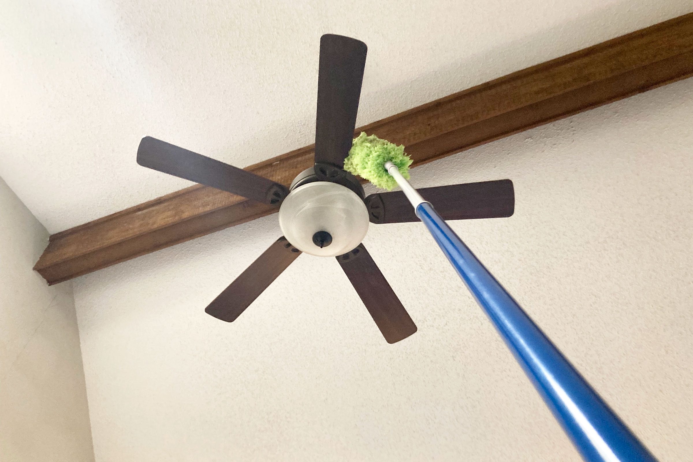 Dust High Fan With Duster