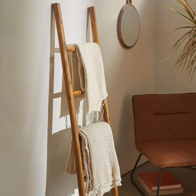 Storage Ladder