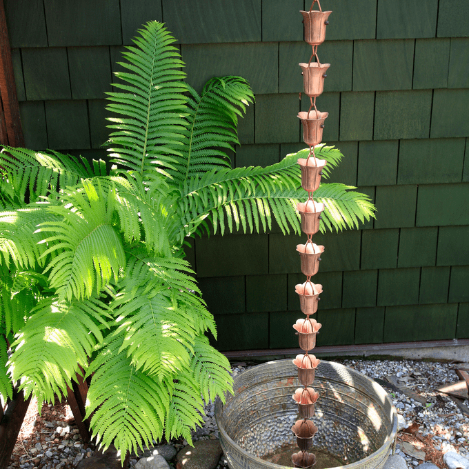 Dappled Sunlight in a zen like shade garden . Xeriscaped with a Copper rain chain,fern,various size stones. Shingle style home in background