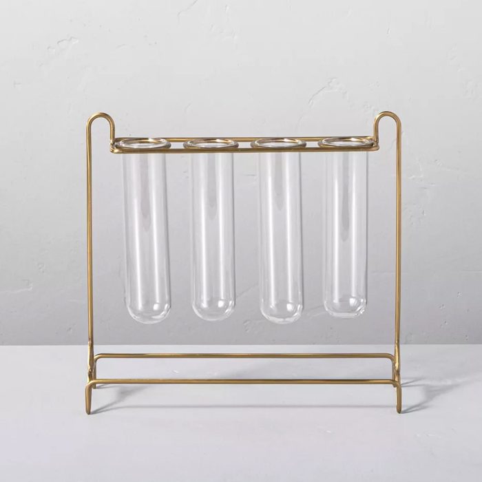 5pc Steel & Glass Plant Propagation Vase Set Ecomm Target.com